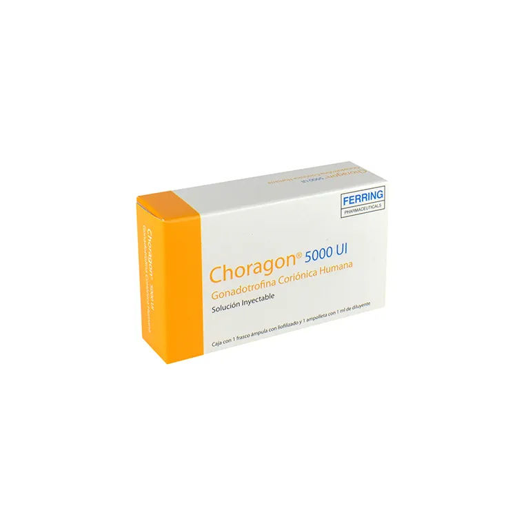 Choragon