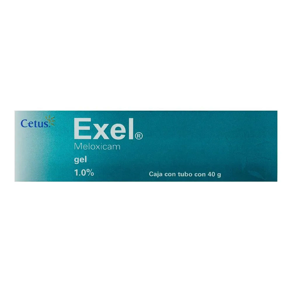 Imagen de Exel
