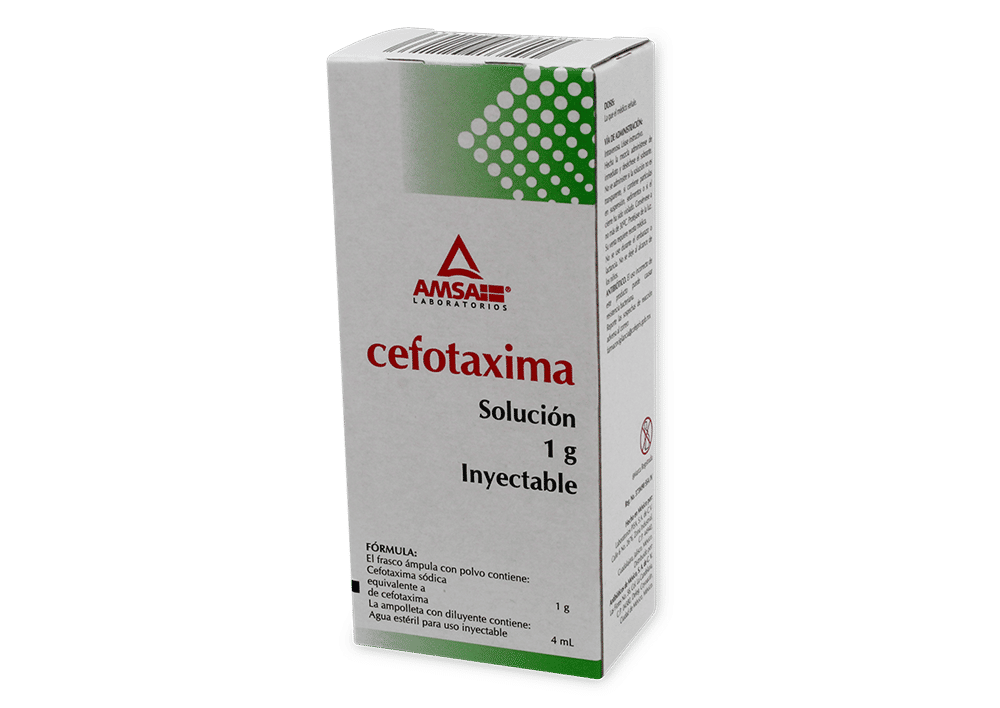 Cefotaxima