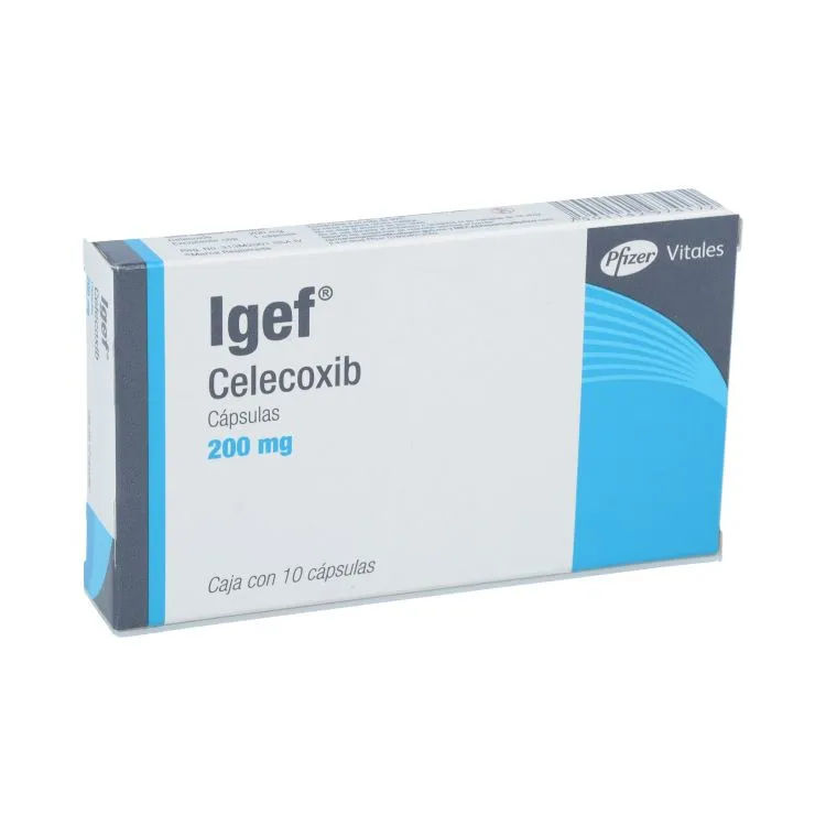 Imagen de IGEF