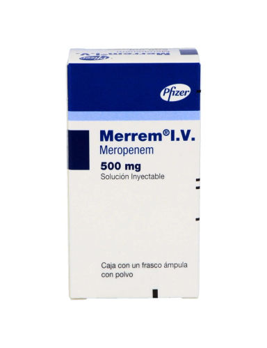 Imagen de Merrem I.V.