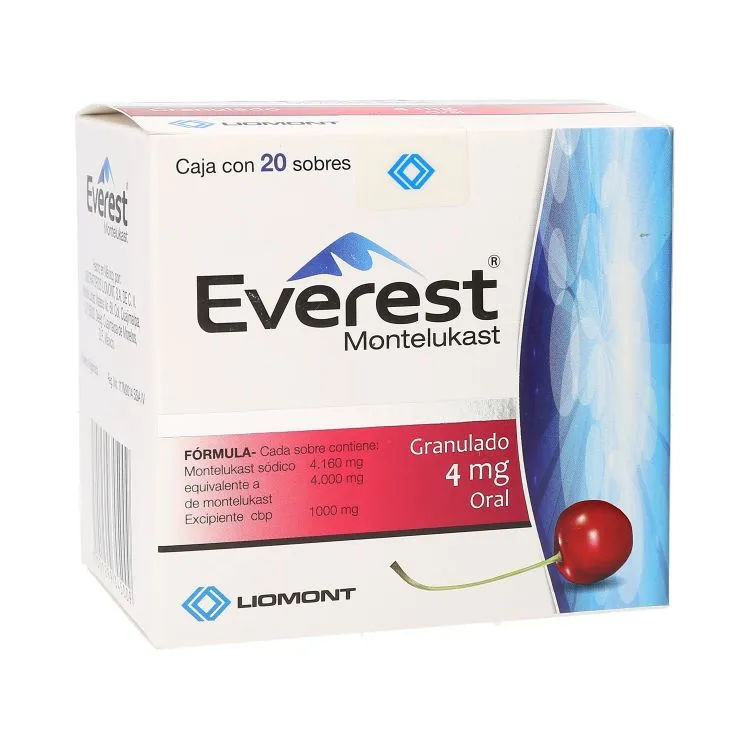 Imagen de Everest