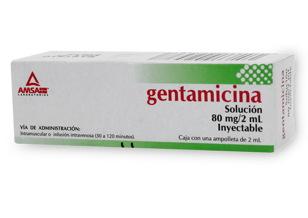 Imagen de Gentamicina