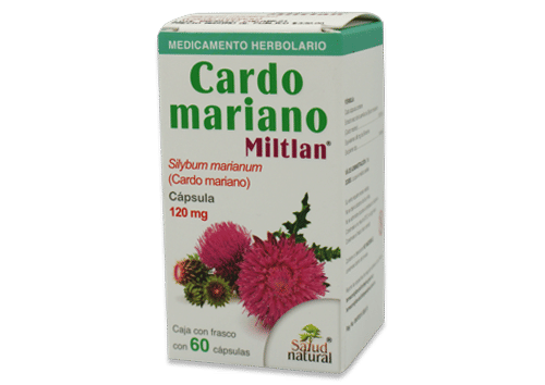 Cardo Mariano