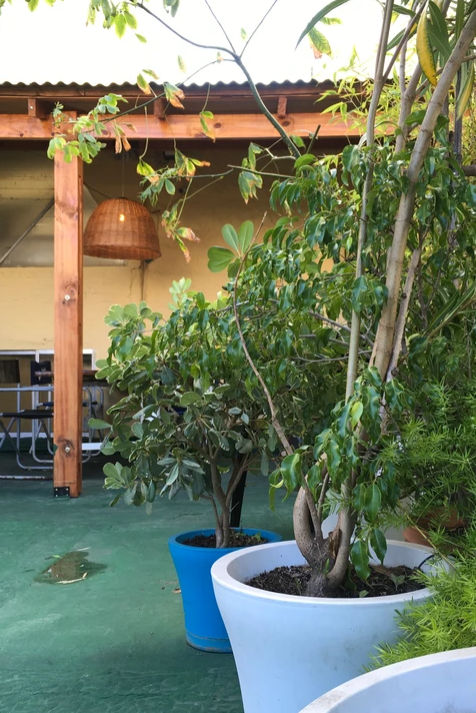 Imagen quinta