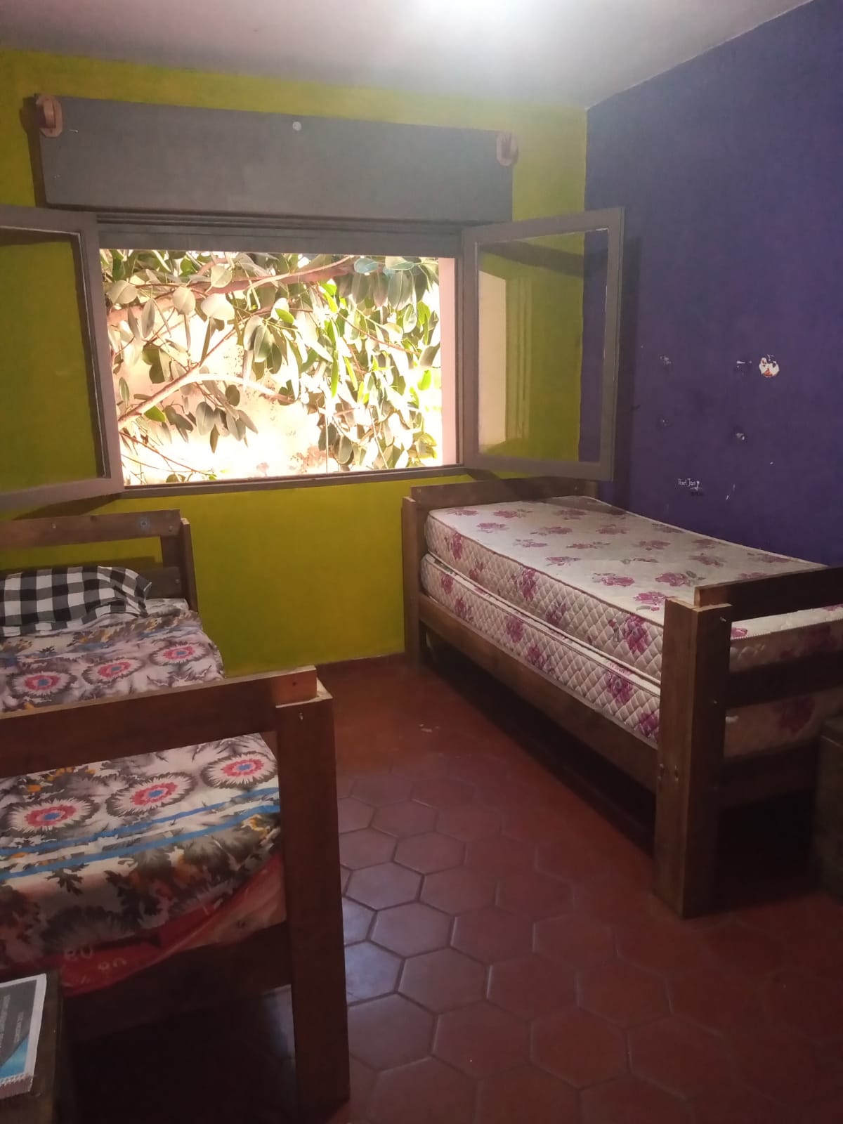 Imagen quinta