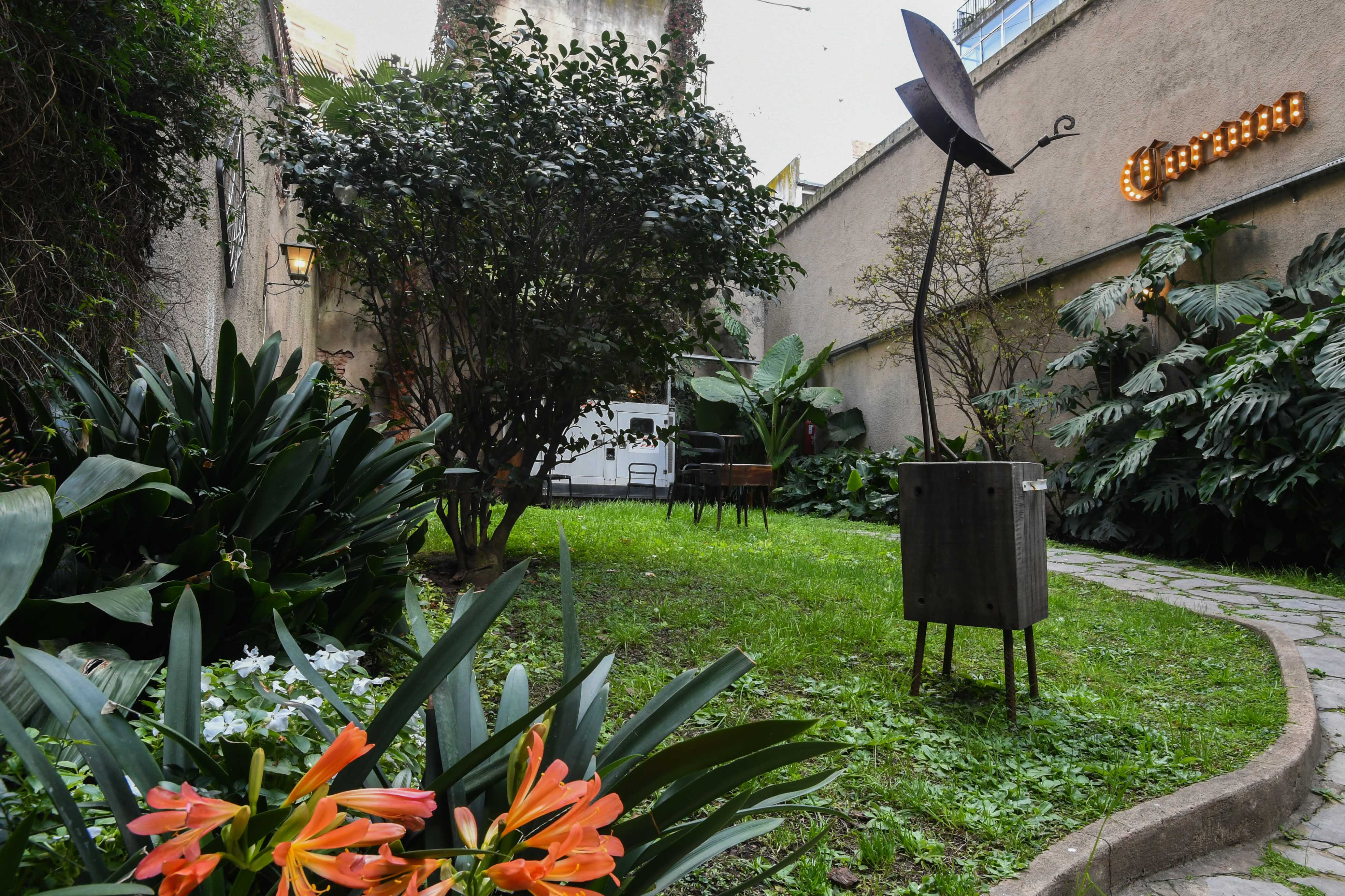Imagen quinta
