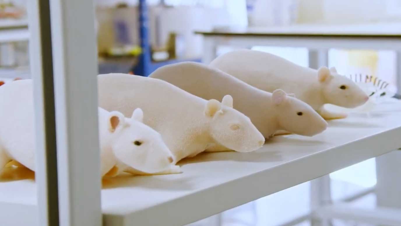 AnthroTek's silicone rats could cut needless animal testing in labs