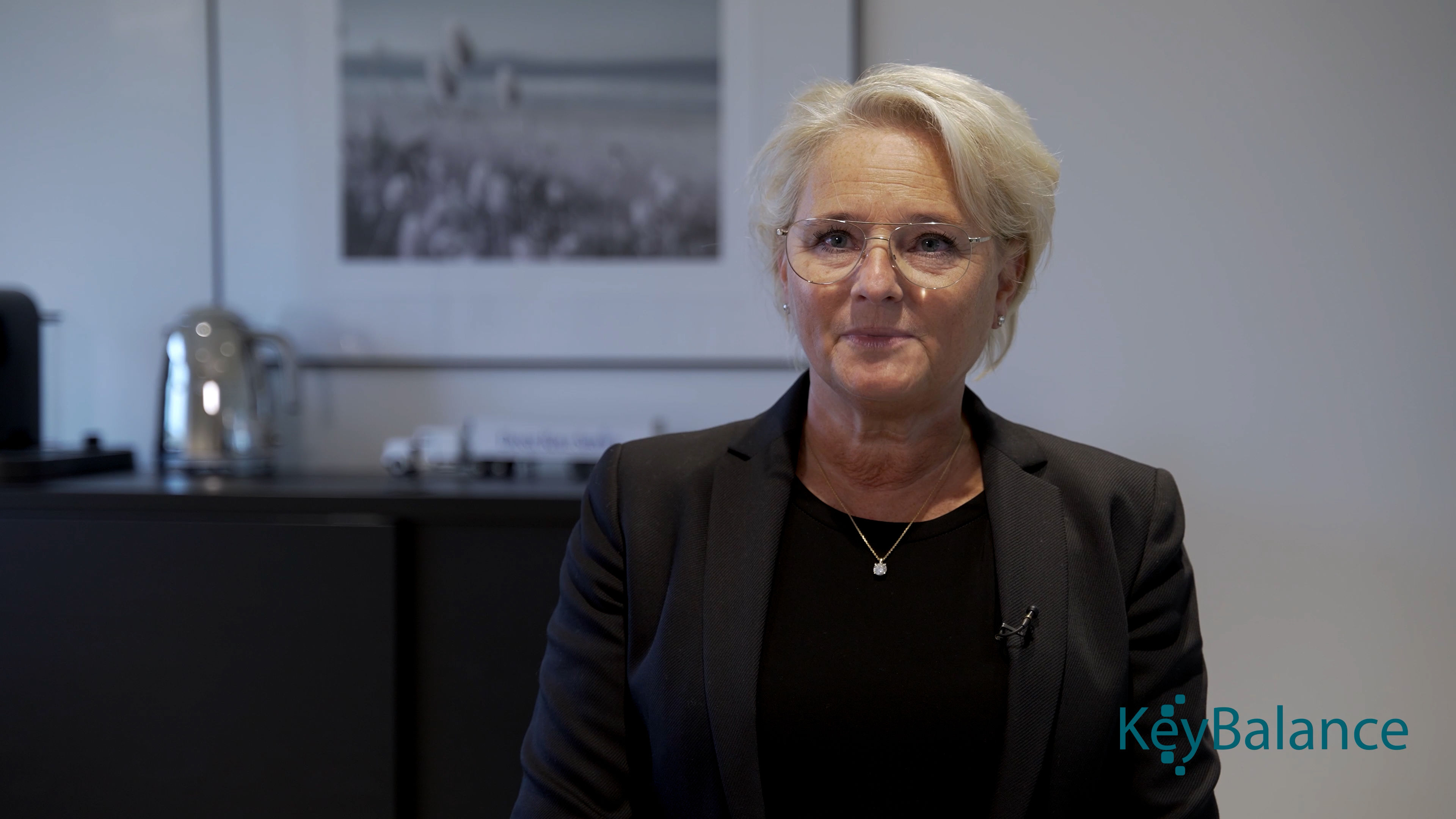 Dansk Køle Service logo