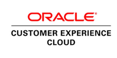 Oracle Business Process Management-logo