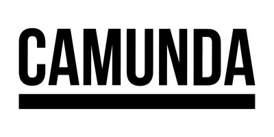 Alternativer til Camunda logo