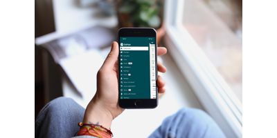 Copy of phone_window_mockup_2020.jpg