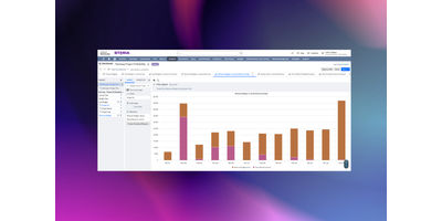 NetSuite screenshot 3.png