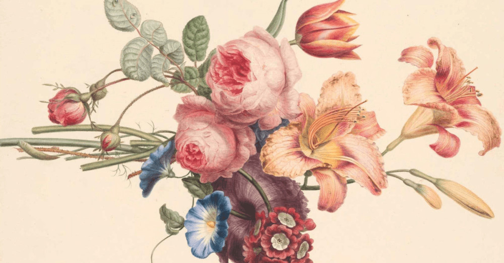 Are Flowers Feminist? The Surprisingly Radical History of Women and ...