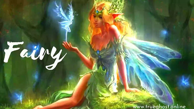 Fairy–fea-folklore|Howtheylooklike?