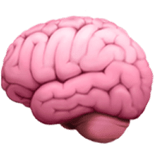 icon/about-us/beginner-mind.png