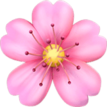 icon/about-us/live-with-ikigai.png