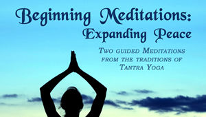 Beginning Meditations