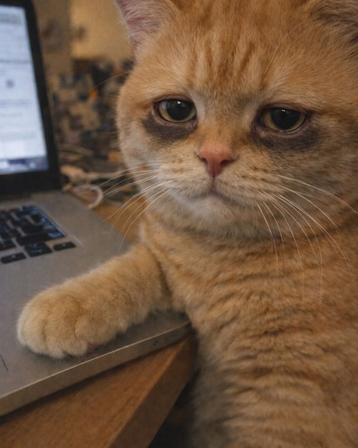 Galaxy A07 Front Black 