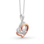 Bortwide Double Heart Sterling Silver Necklace