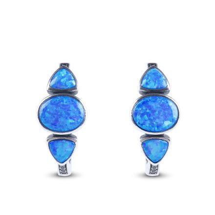 Bortwide Fall in Love with the Ocean Opal Earrings