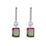 Bortwide Classic Emerald Cut Sterling Silver Earrings