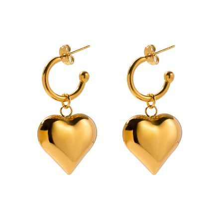 Bortwide Heart-shaped Stainless Steel Drop Earrings