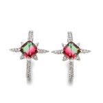 Bortwide "Endless Light " North Star Princess Cut Watermelon Sterling Silver Earrings