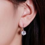 Bortwide Classic Round Cut Sterling Silver Earrings