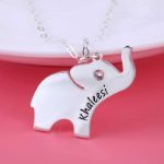 Bortwide Elephant Engraved Necklace with Birthstone Sterling Silver