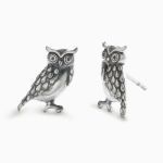 Bortwide "Wisdom Owl" Sterling Silver Earrings