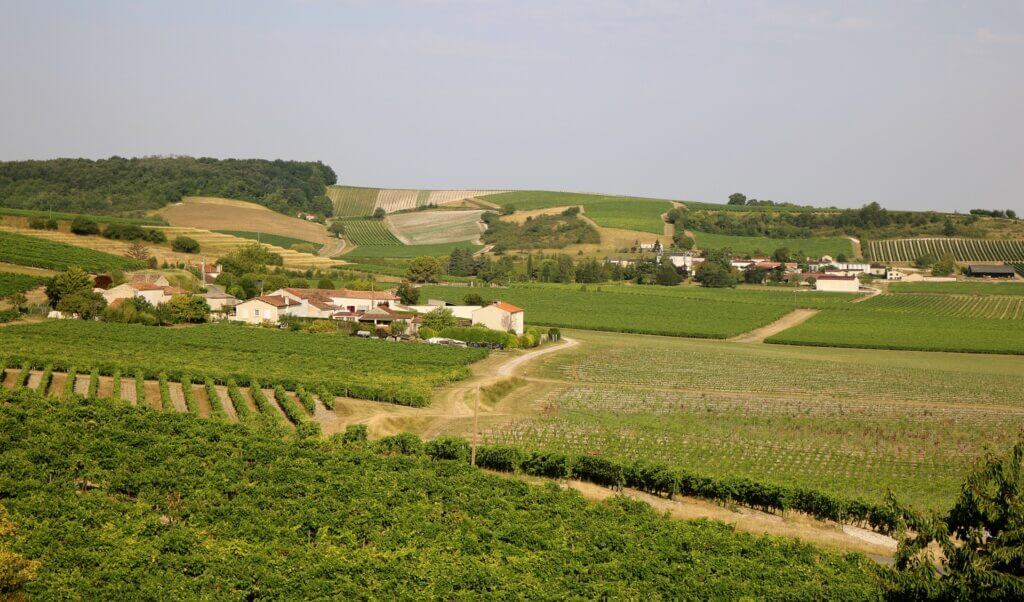 Tour in Cognac from Bordeaux