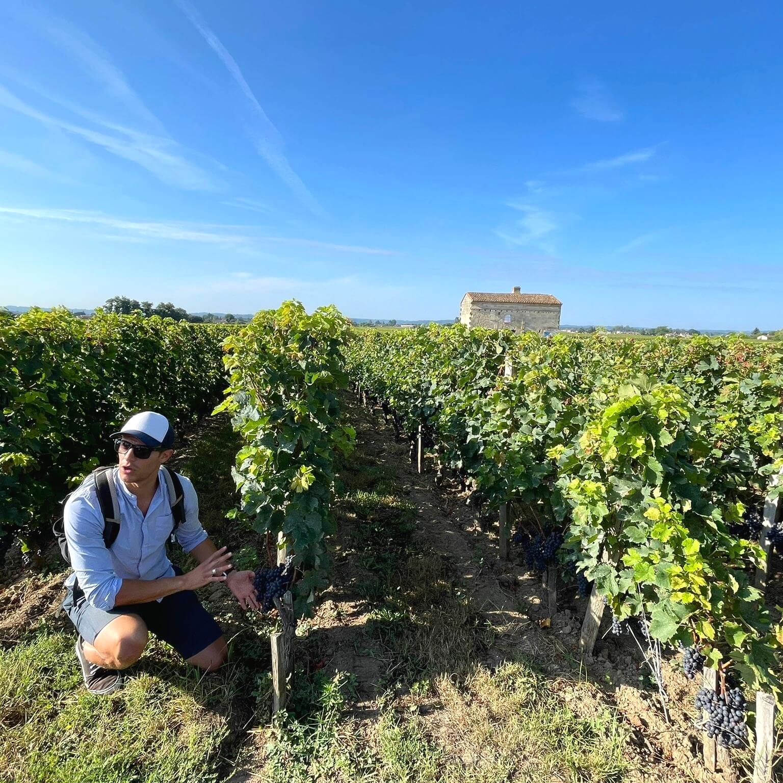 guide in Saint-Emilion