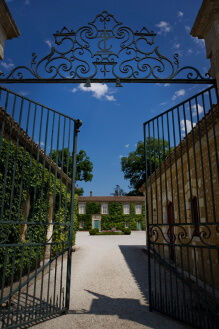 Une journée en famille dans les vignobles - Bordeaux Wine Trails