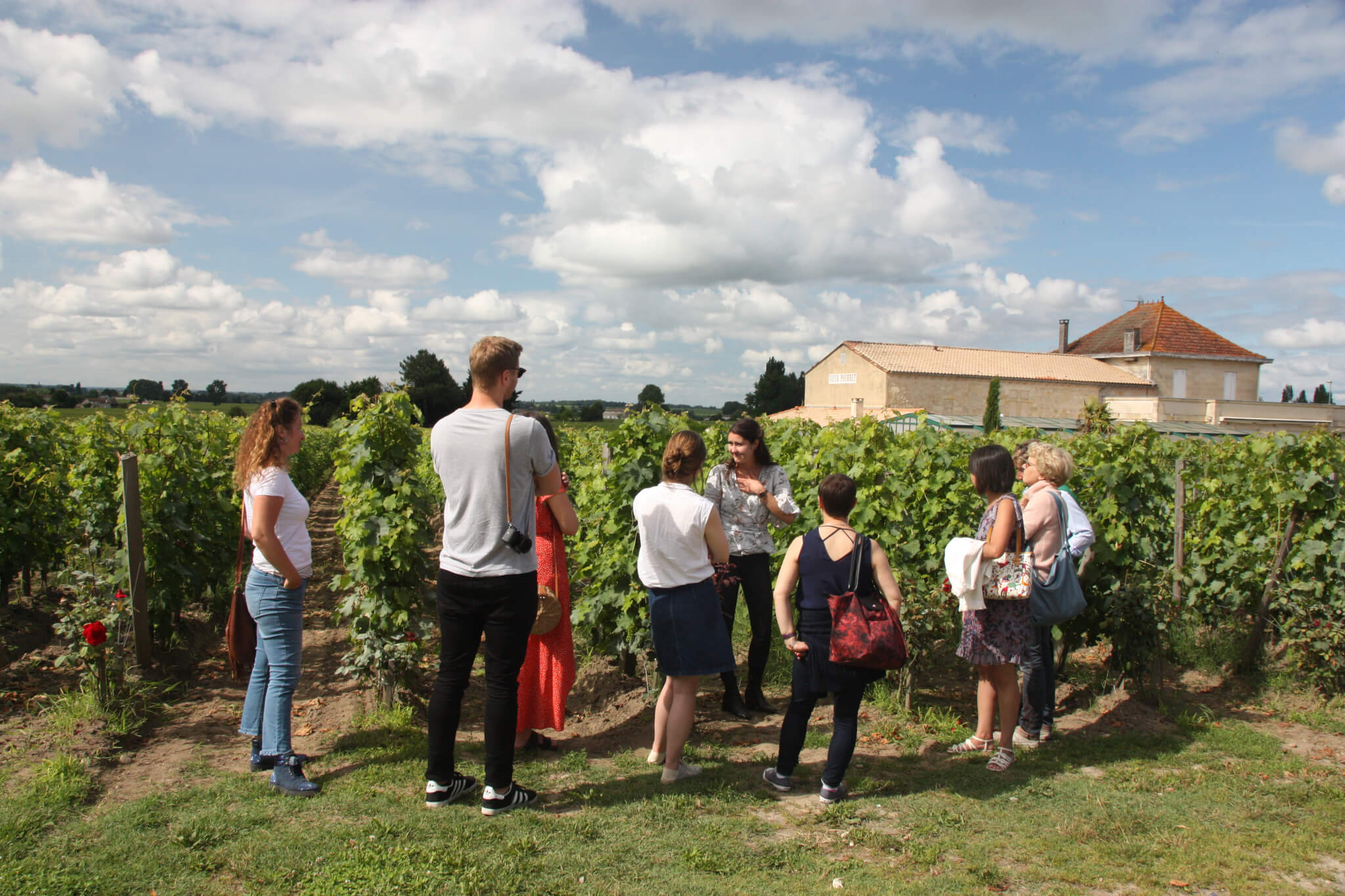 Bordeaux wine tour