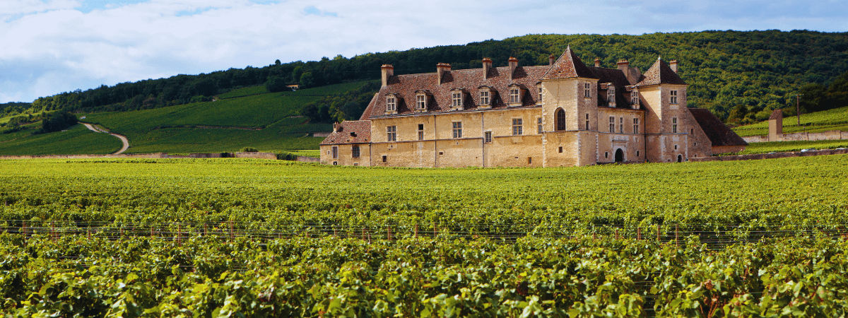 wine-region-france