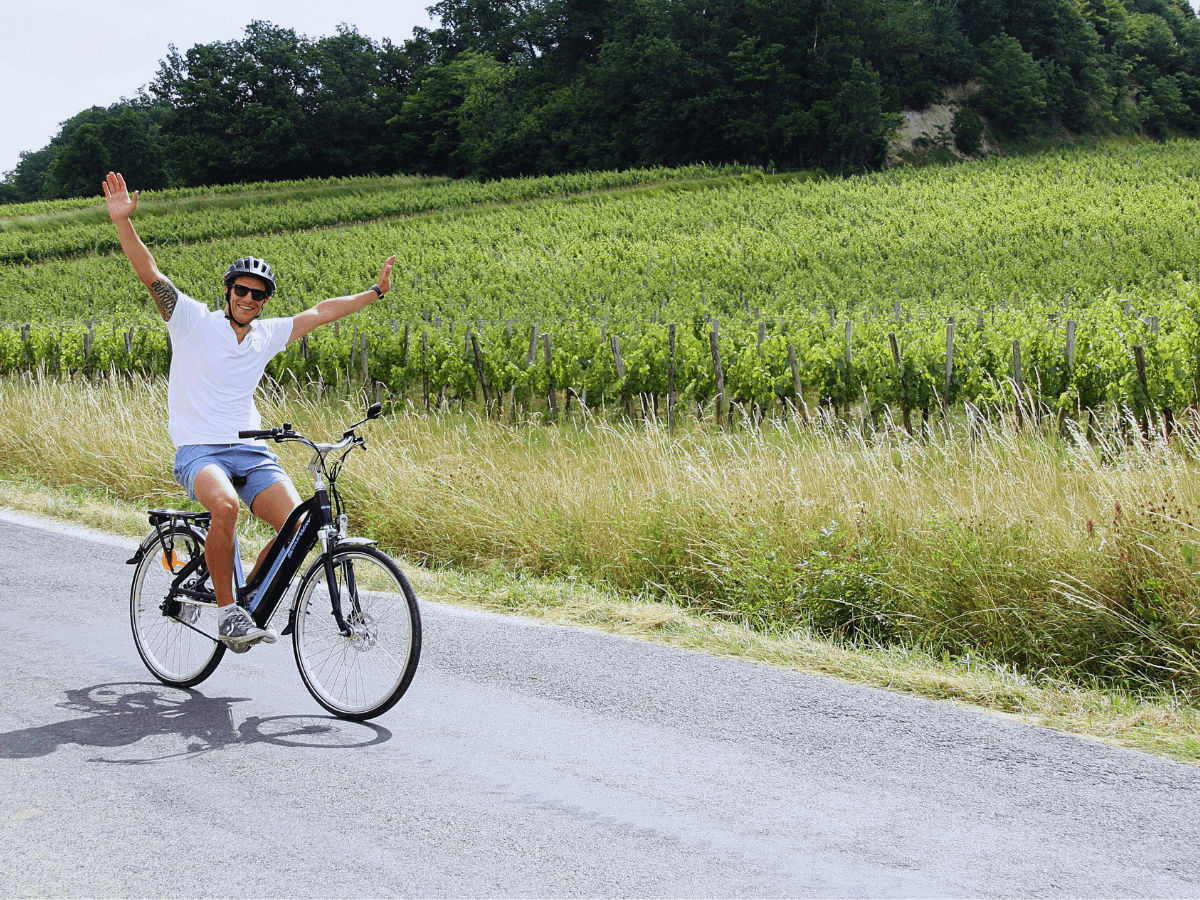 Paris 2024 Olympics: Your Ultimate Guide for the Summer Games - Bordeaux Wine Trails