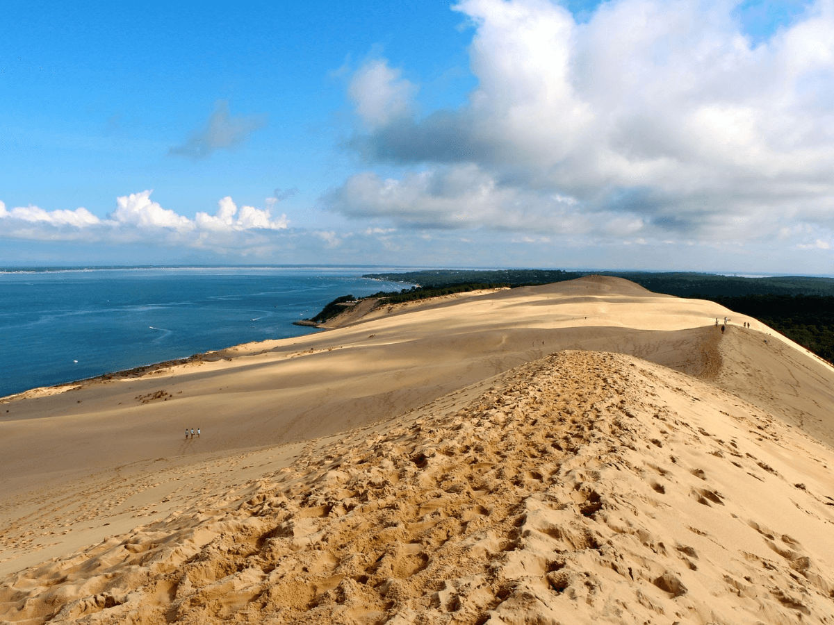 Arcachon Bay - Bordeaux Wine Trails