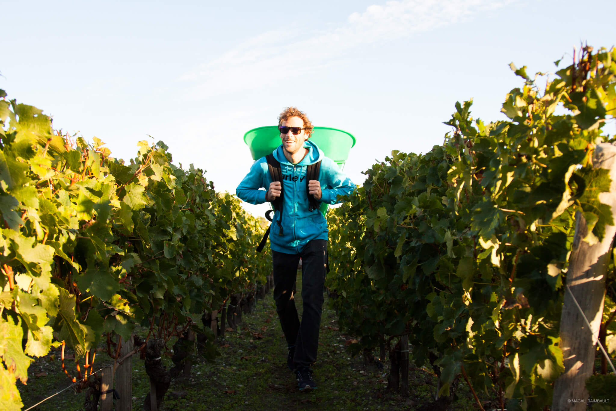 Harvest - Bordeaux Wine Trails