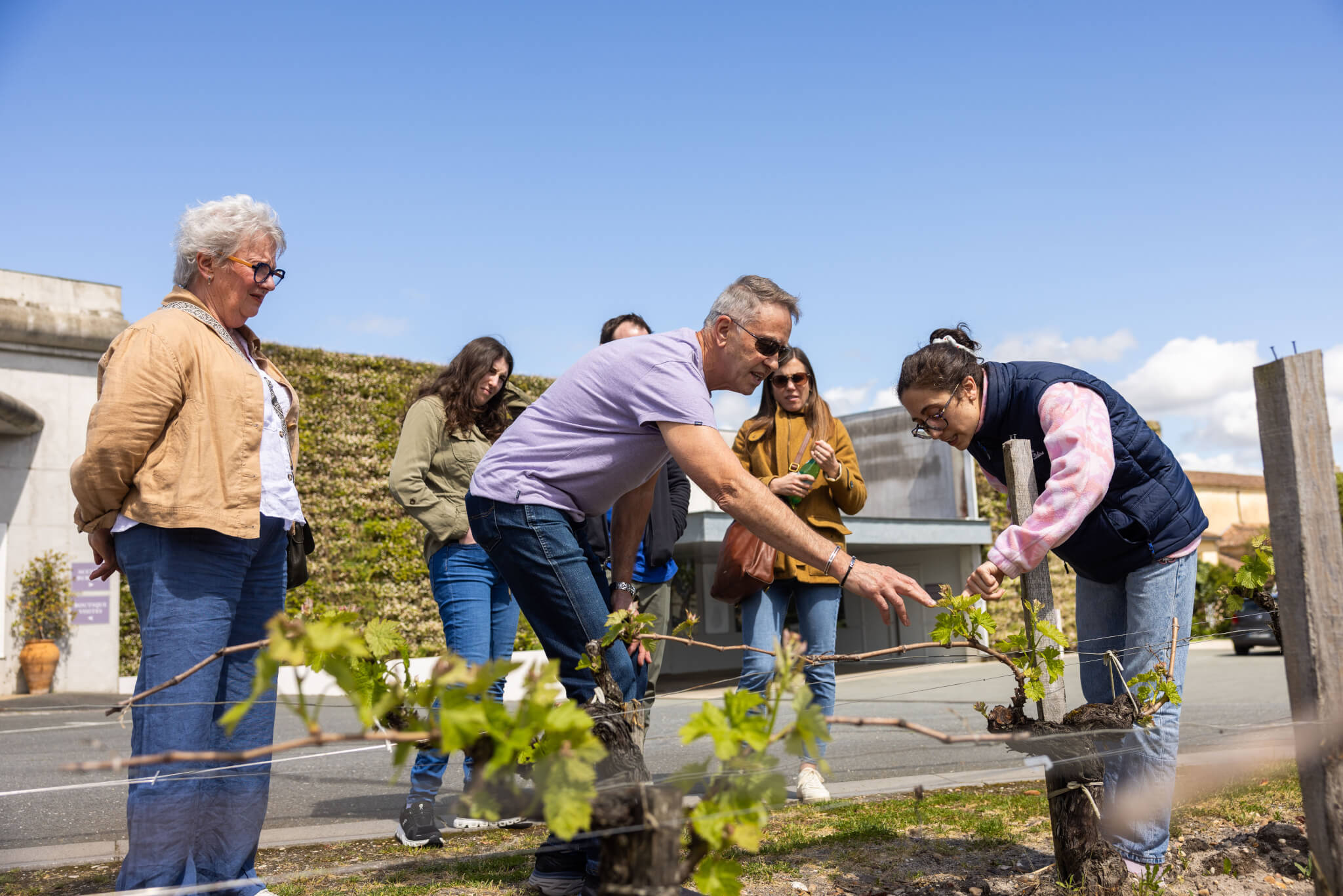 Guide showing spring vine growth to small group during Saint-Emilion morning wine tour near Bordeaux