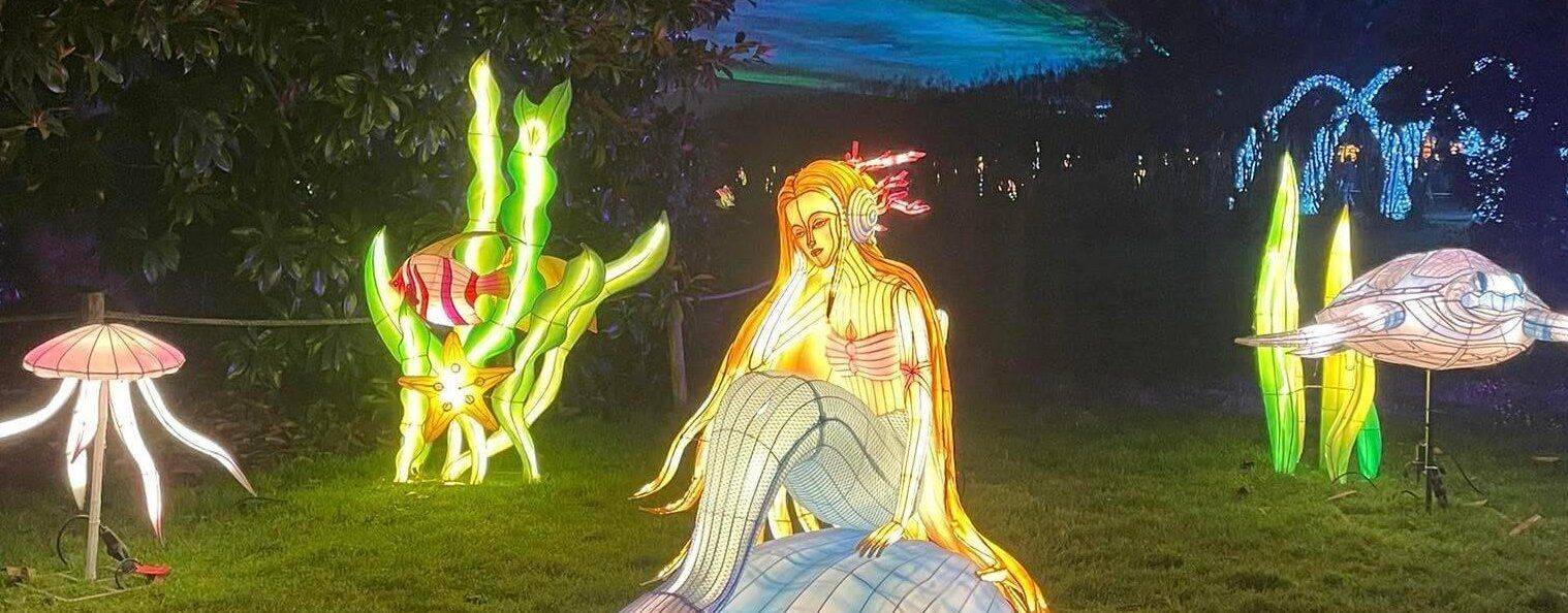 Discover Cognac: Your Perfect Day Tour from Bordeaux - Bordeaux Wine Trails