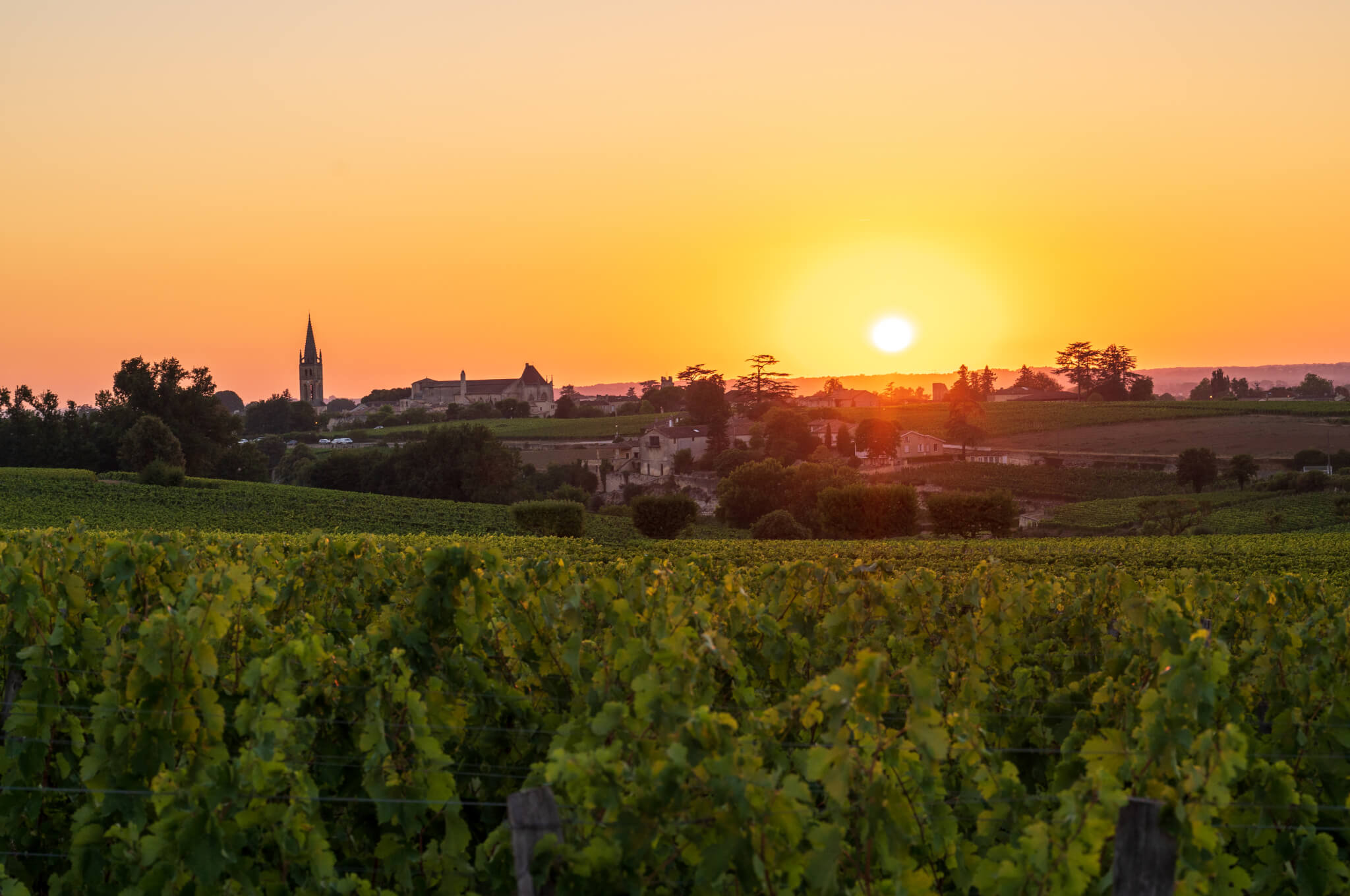 Home - Bordeaux Wine Trails