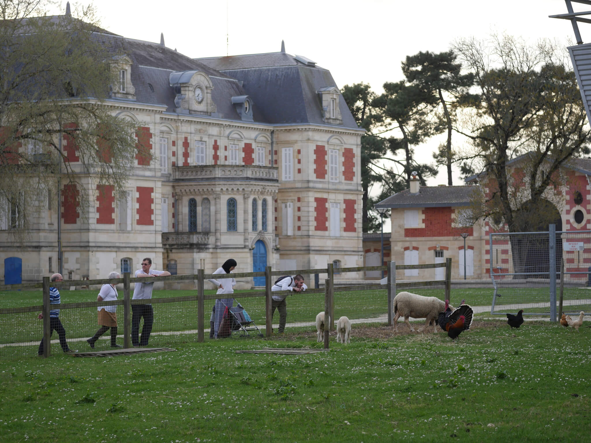 Des personnes devant des animaux a la ferme des iris