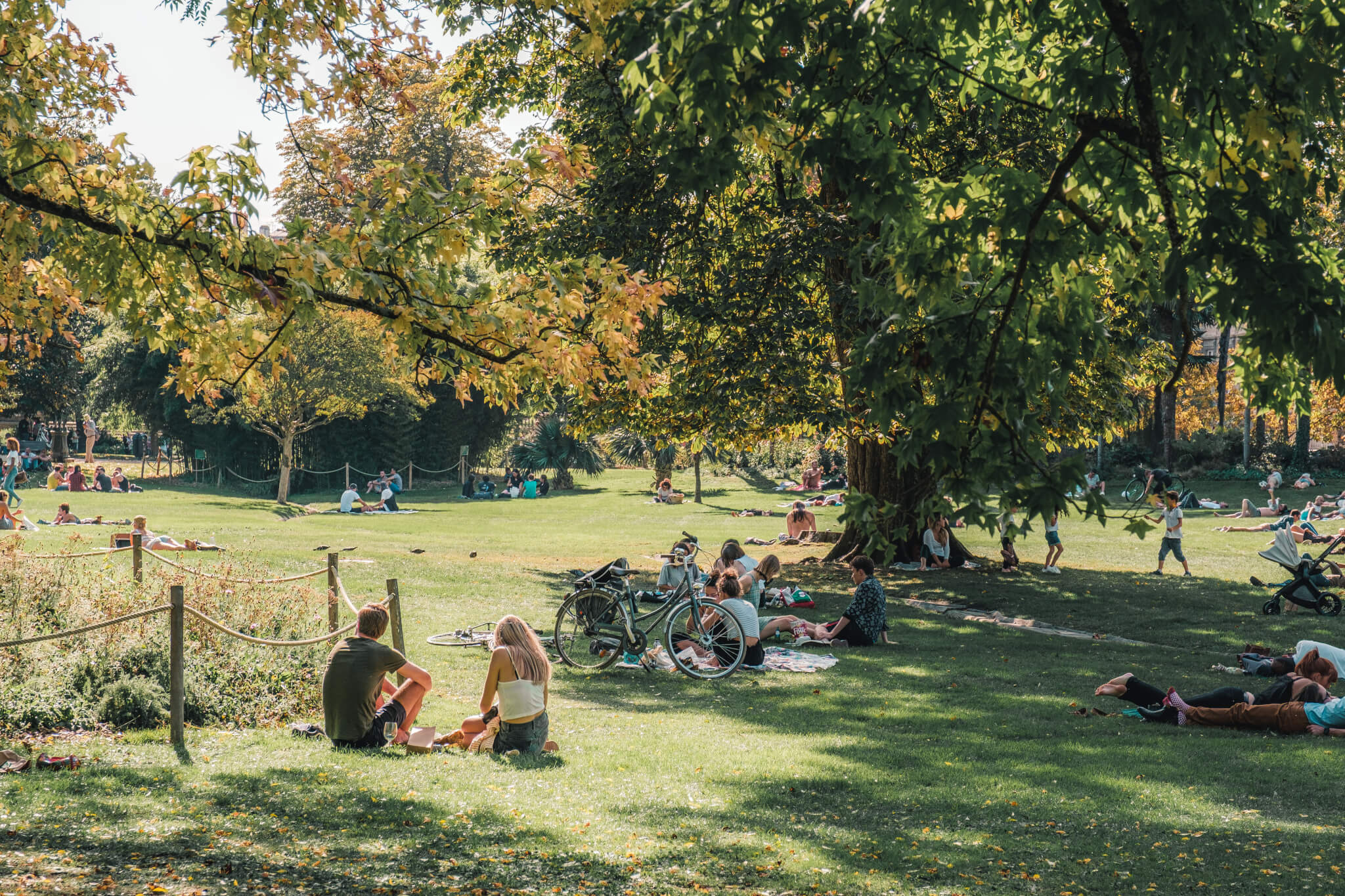 Jardin public avec velo et personnes qui piquenique