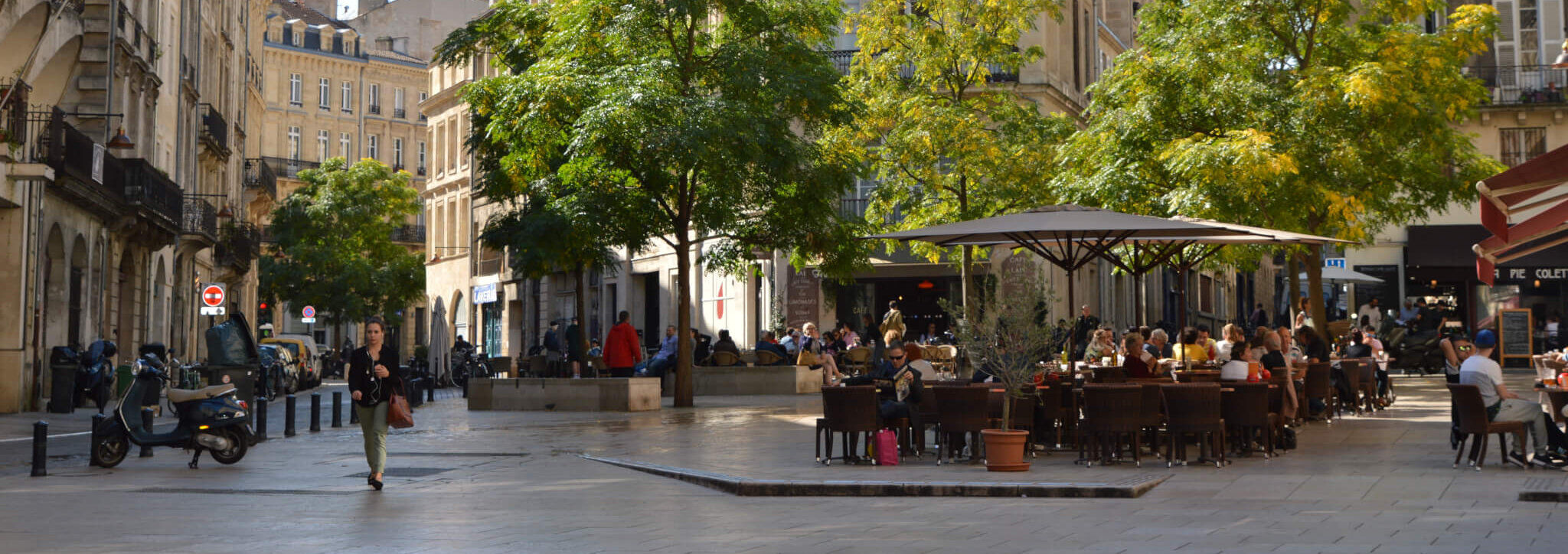 Home - Bordeaux Wine Trails