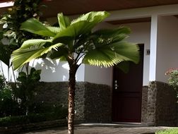 Volcano Lodge, Hotel & Thermal Experience - Arenal Volcano