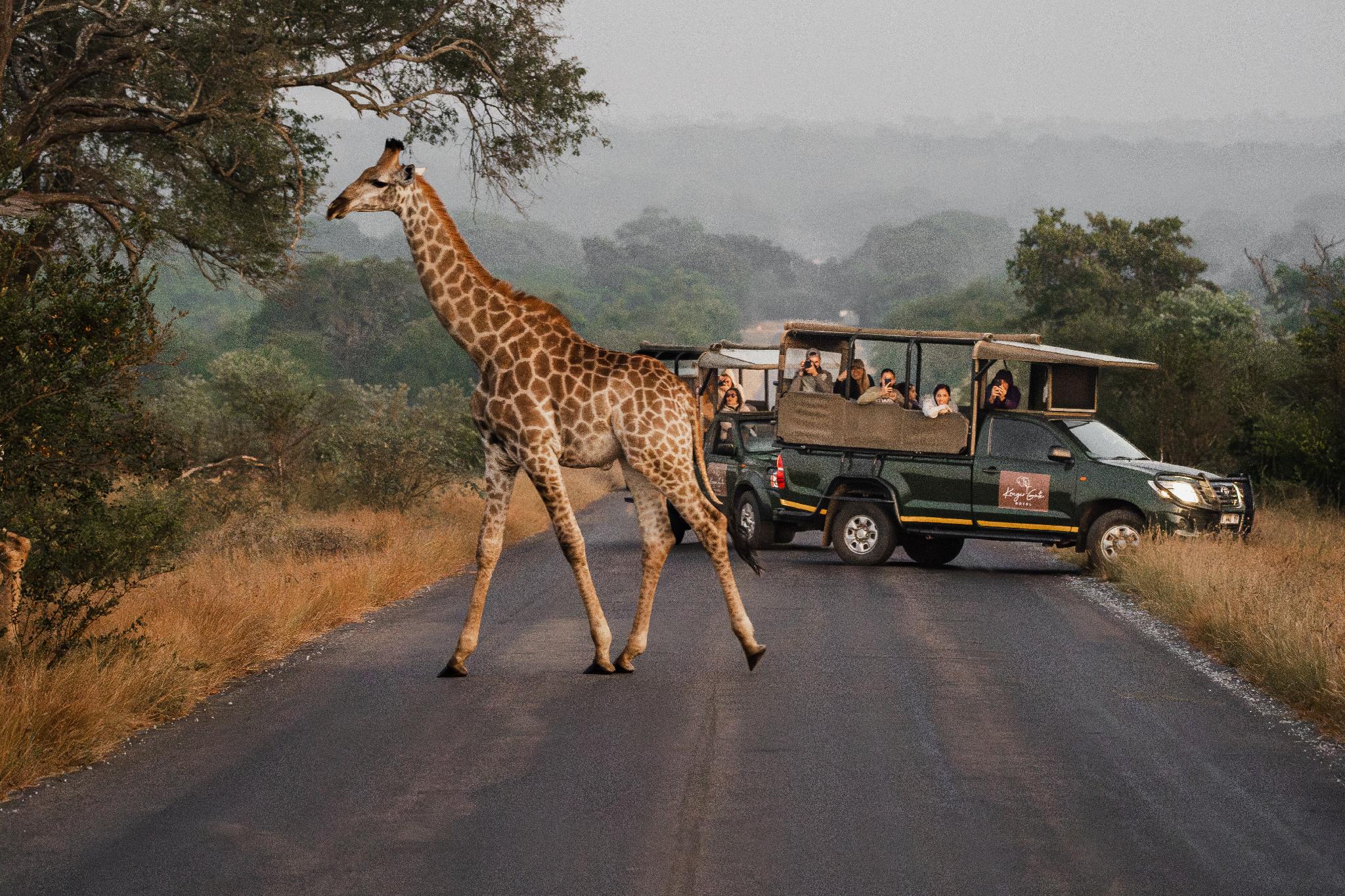 Kruger Gate Hotel - Kruger National Park