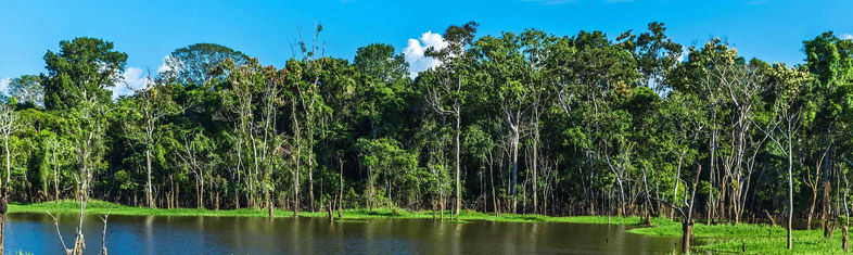Best things to do in Amazonas - Brazil