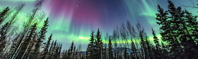 Best things to do in Fairbanks - United States of America