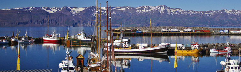 Best things to do in Húsavík - Iceland